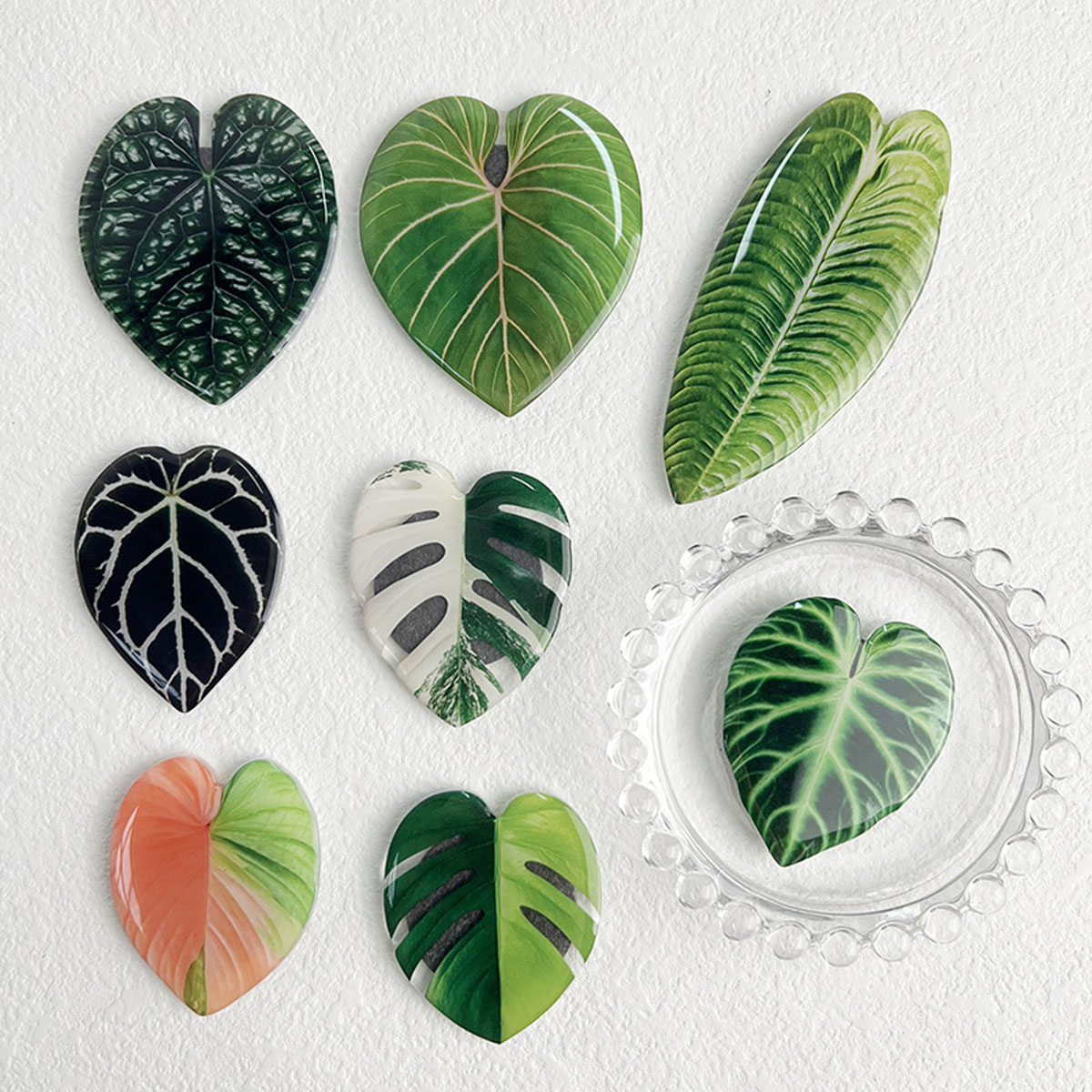 1pcs/8pcs Plant Leaves Refrige - مراجعة Commercial Kitchen Fridge وسعره