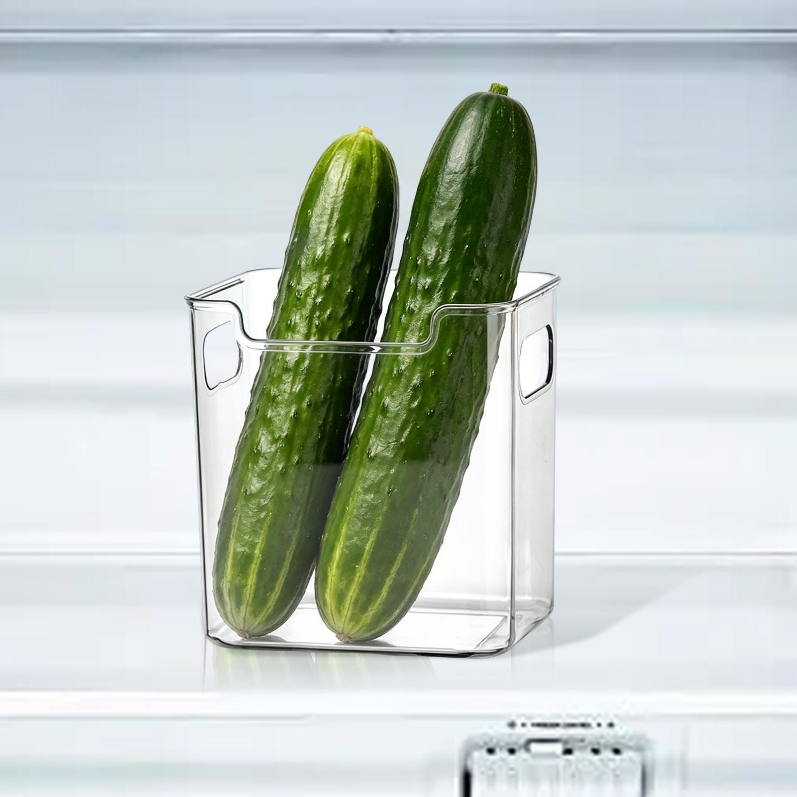 Refrigerator Bins with Handles - مراجعة Commercial Kitchen Fridge وسعره