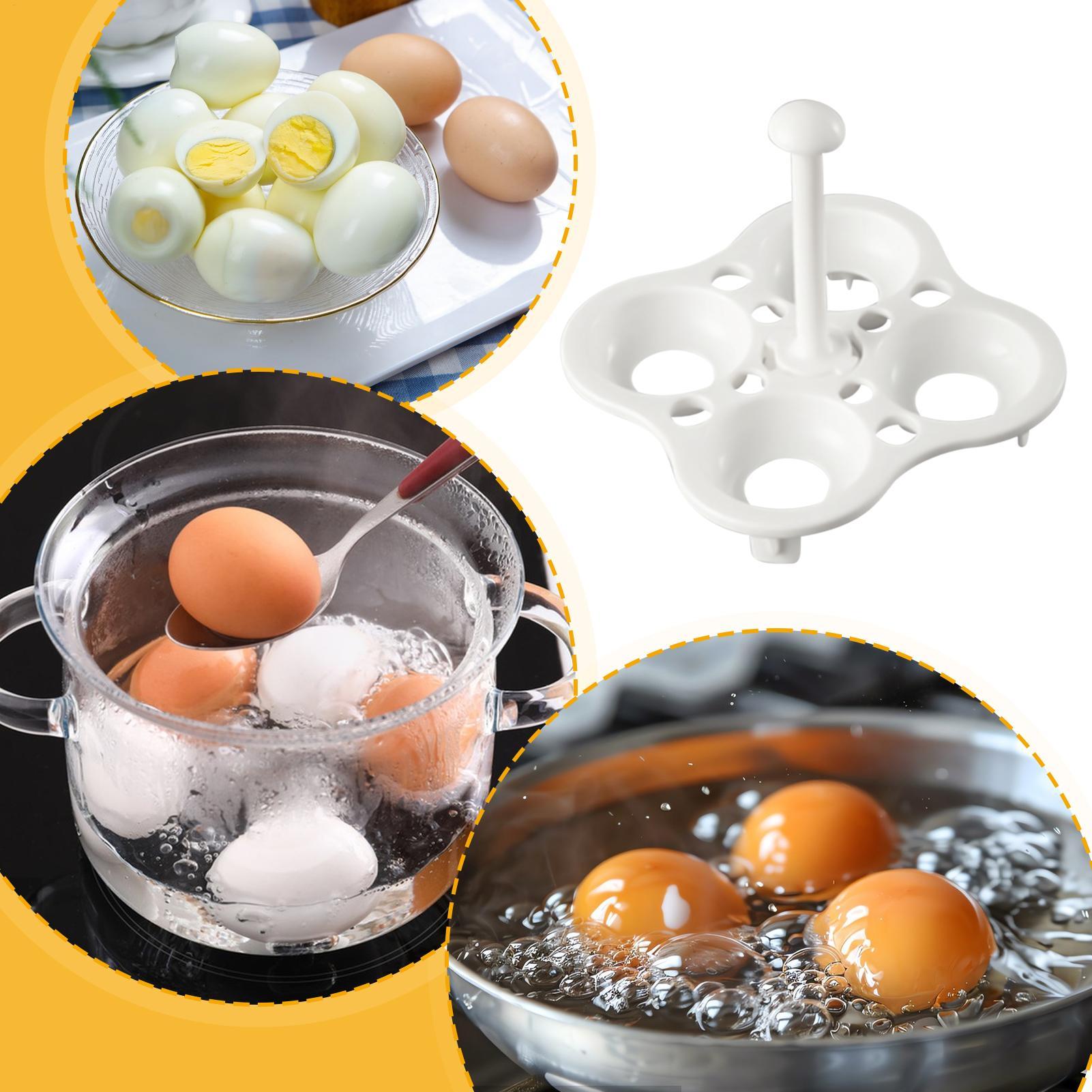 Egg Boiler Holder 4/5 Holds Eg - مراجعة Commercial Kitchen Utensil Holder وسعره